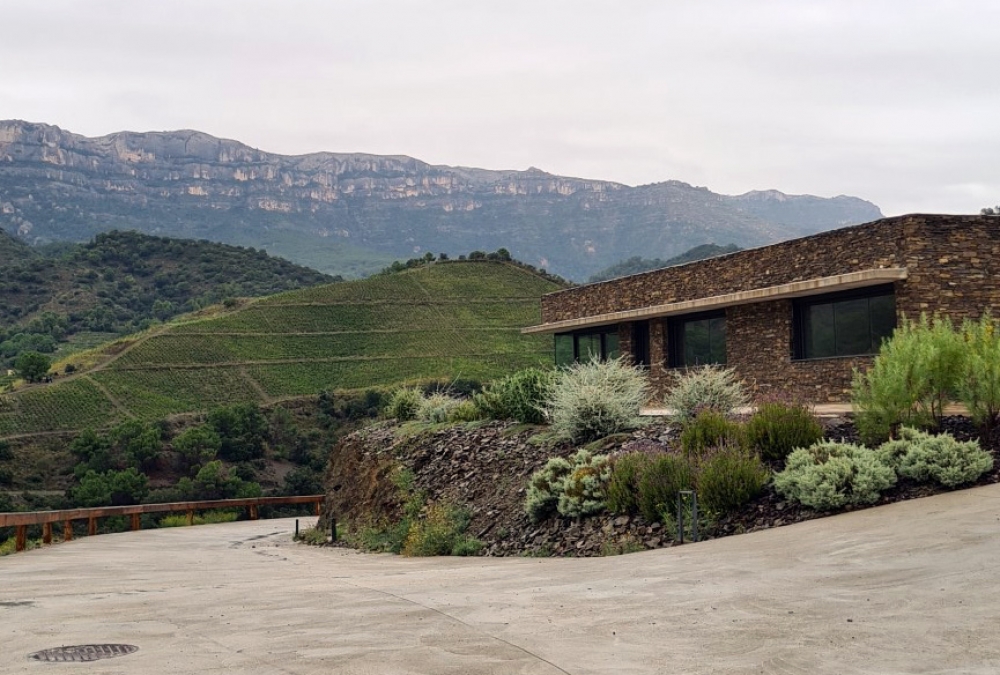 Mas Doix Priorat – winery visit